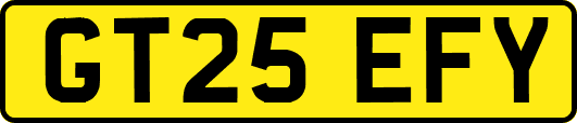 GT25EFY