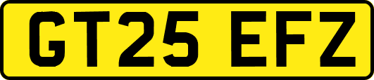 GT25EFZ