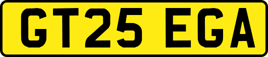 GT25EGA