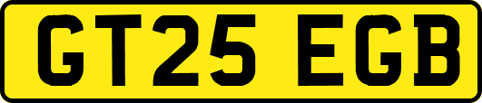 GT25EGB