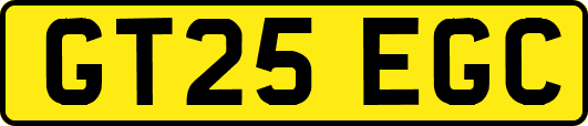 GT25EGC