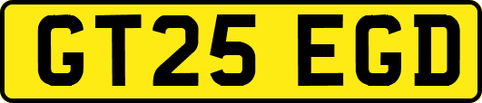 GT25EGD