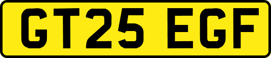 GT25EGF
