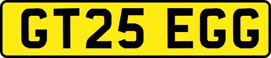 GT25EGG