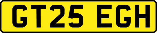 GT25EGH