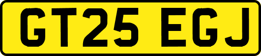 GT25EGJ