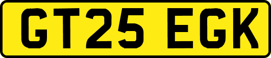 GT25EGK