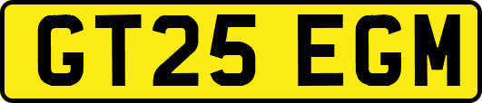 GT25EGM