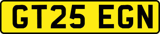 GT25EGN
