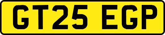 GT25EGP