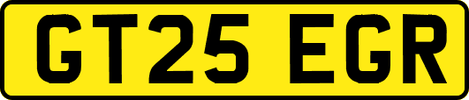 GT25EGR