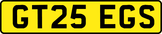 GT25EGS