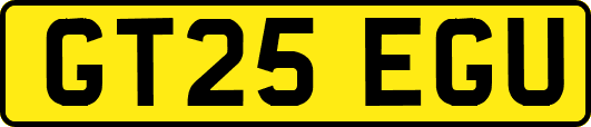 GT25EGU