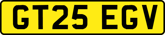 GT25EGV