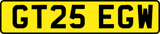GT25EGW