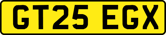 GT25EGX