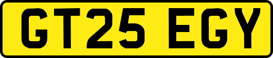 GT25EGY