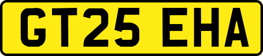 GT25EHA