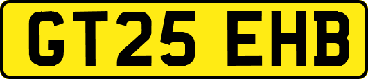 GT25EHB