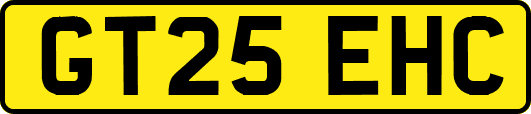 GT25EHC