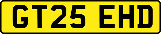 GT25EHD