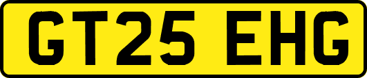 GT25EHG