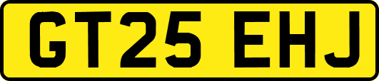 GT25EHJ