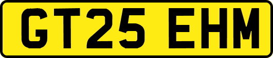 GT25EHM