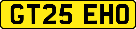 GT25EHO