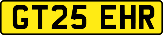 GT25EHR
