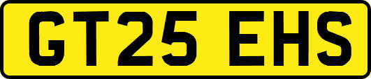 GT25EHS