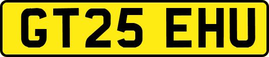 GT25EHU