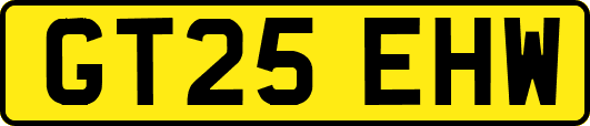 GT25EHW