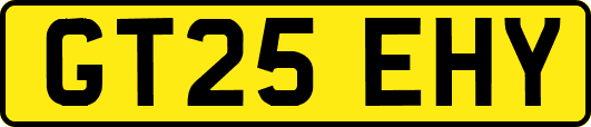 GT25EHY