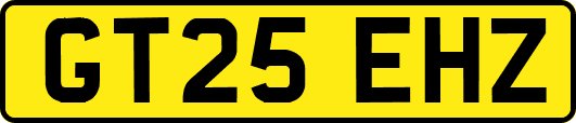 GT25EHZ