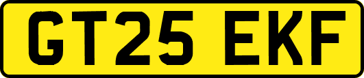 GT25EKF
