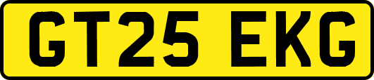 GT25EKG