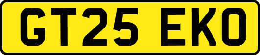 GT25EKO