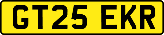 GT25EKR