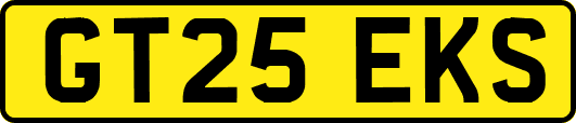 GT25EKS