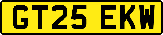 GT25EKW