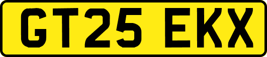 GT25EKX