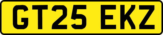 GT25EKZ
