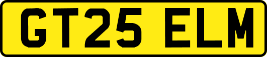 GT25ELM