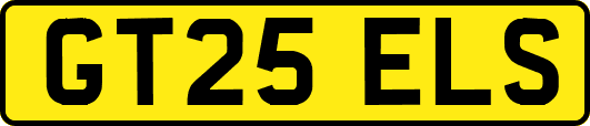 GT25ELS