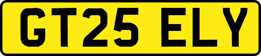 GT25ELY