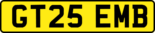 GT25EMB