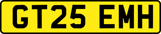 GT25EMH