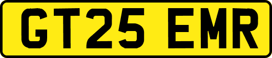 GT25EMR