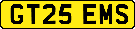 GT25EMS